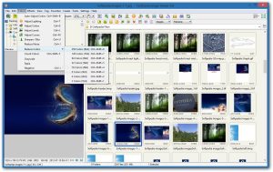 Windows-Portable-Applications-Portable-FastStone-Image-Viewer_3